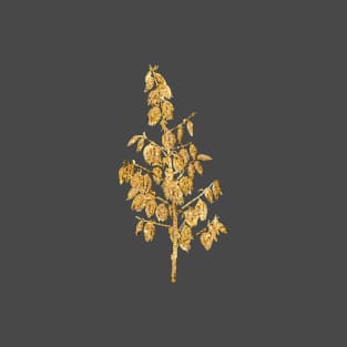 Vintage Gilded Adam's Needle Botanical Gold Leaf T-Shirt