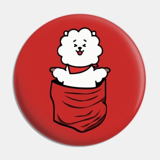 RJ IN A POCKET (BT21) Pin