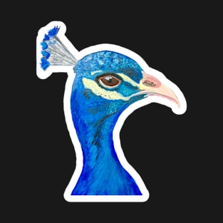 Acrylic painting Peacock sticker T-Shirt