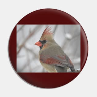 Female Cardinal Pin