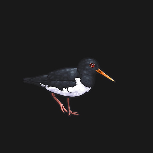 Eurasian Oystercatcher by Ginboy