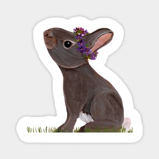 Eastern Cottontail with violet crown Magnet