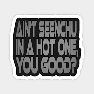 Ain't Seenchu in a Hot One, You Good? Idium Series Magnet