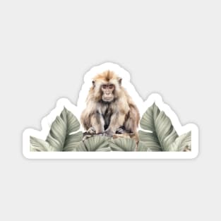 Watercolor Monkey Magnet