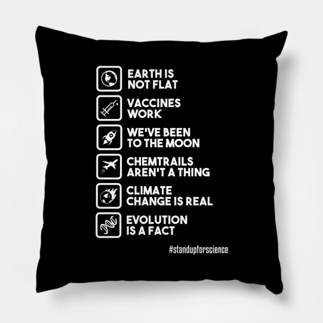 Earth is not Flat - Vaccines Work - We've Been to the Moon Pillow by dan89
