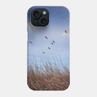 birds migration Phone Case