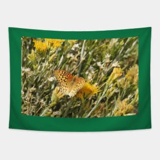 Painted Lady, Butterfly, Nature, Wildlife Tapestry