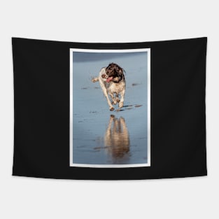 English Springer spaniel Tapestry