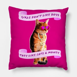 Girls Love Cats And Money Pillow