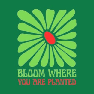 bloom where : you are planted T-Shirt