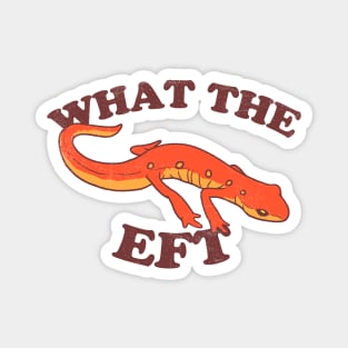 What The Eft Magnet