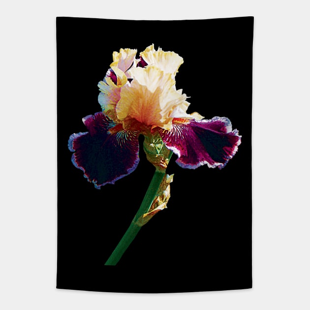 Irises - Cream and Magenta Iris Tapestry by SusanSavad