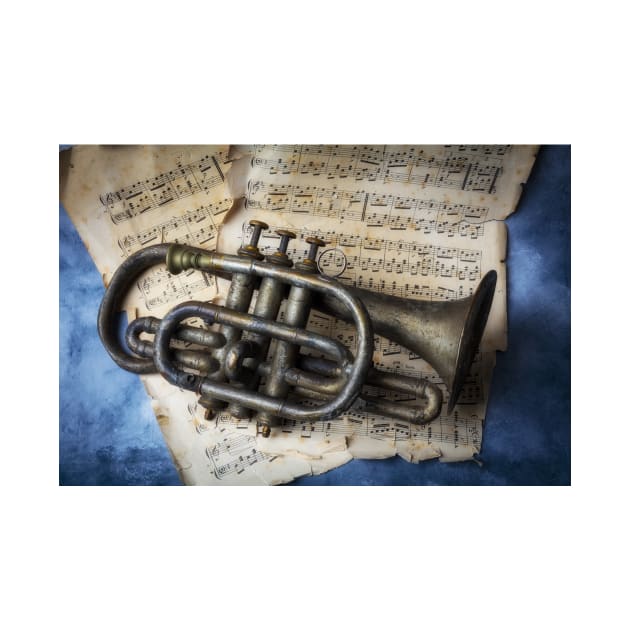 Old Weathered Horn On Sheet Music by photogarry