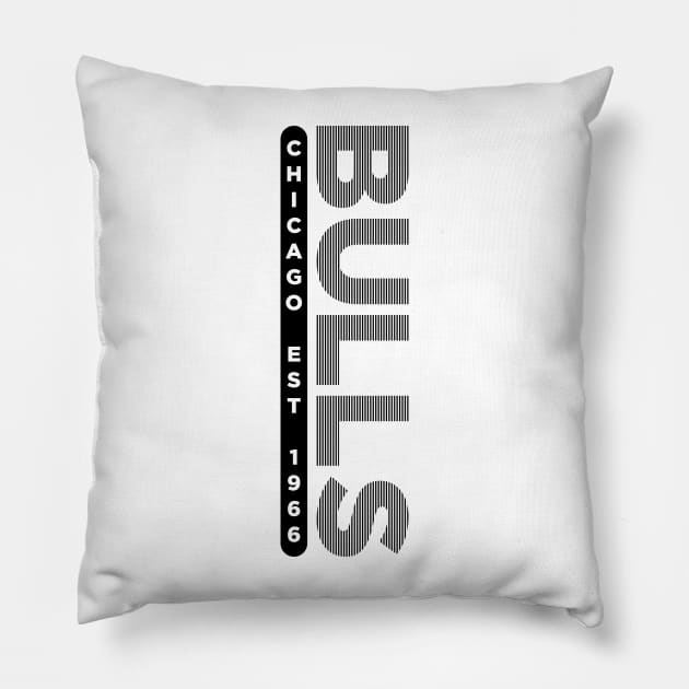 Chicago Bulls 11 Pillow by HooPet