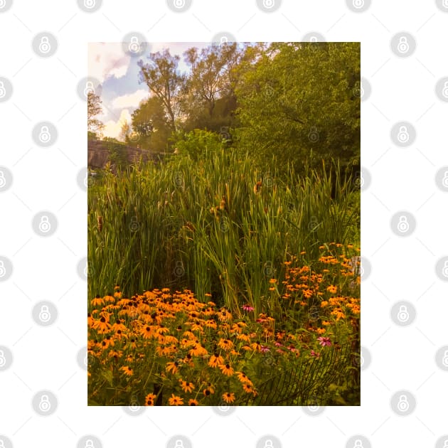 Central Park Bridge Flowers Manhattan NYC by eleonoraingrid