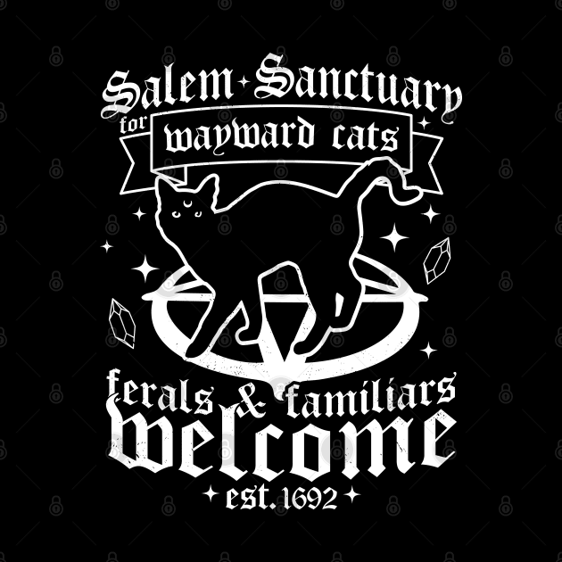 Salem Sanctuary For Wayward Black Cats 1692 - Salem Witch by OrangeMonkeyArt