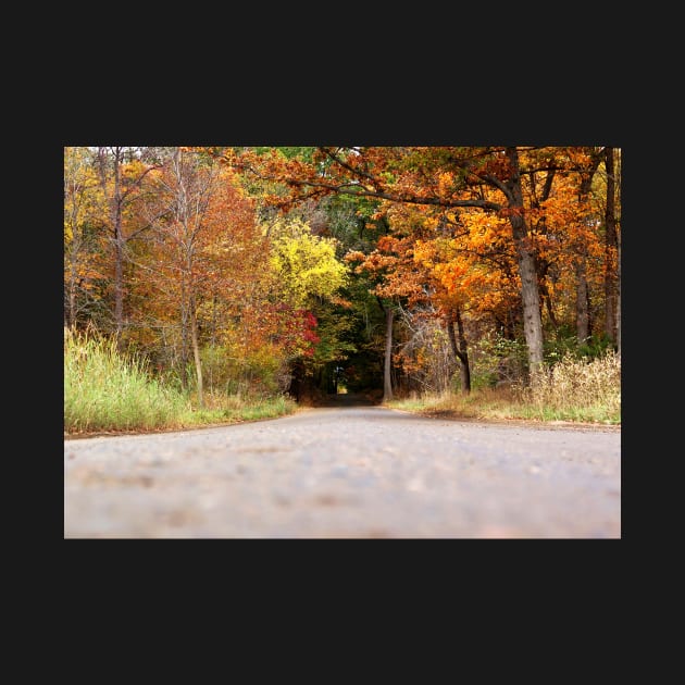 Autumn Tree Tunnel by 1Redbublppasswo