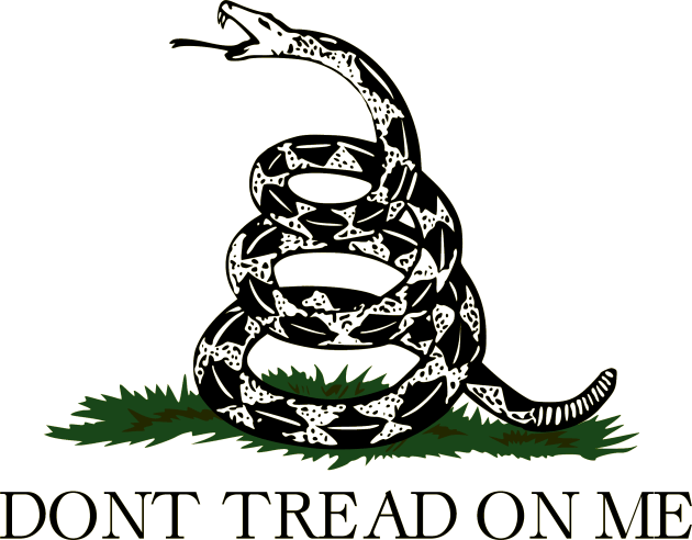 Don't tread on me - Flag Kids T-Shirt by Room Thirty Four