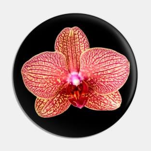 Pink Orchid Pin