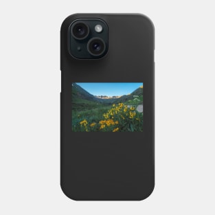 August in American Basin Phone Case