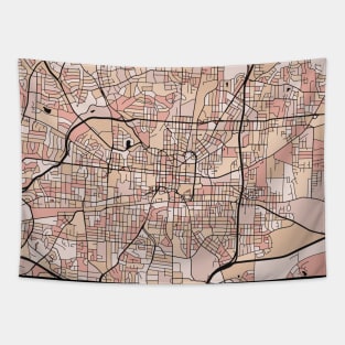 Greensboro Map Pattern in Soft Pink Pastels Tapestry