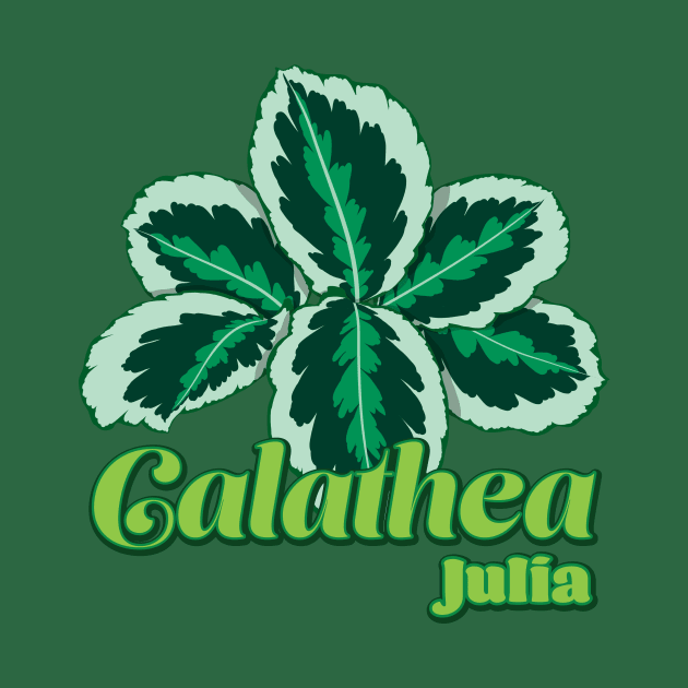 Calathea Julia by LEO+SKYLAR