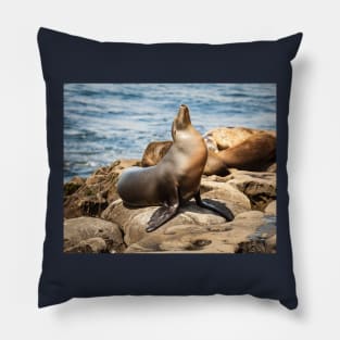 California Sea Lion Portrait Pillow