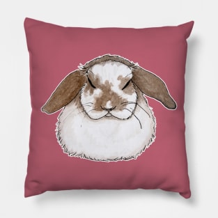 Sleeping rabbit ram Pillow