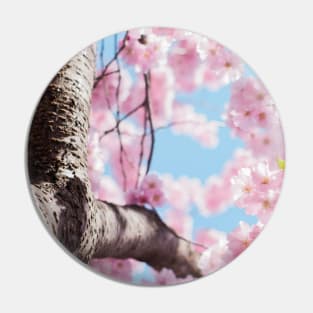 Aesthetic Cherry Blossom Pin