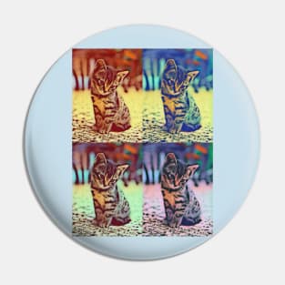 PopArt kittens! Pin