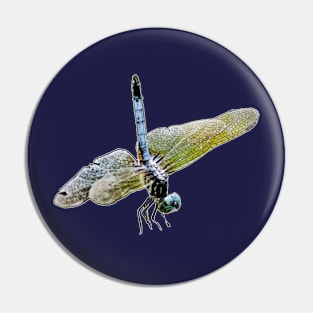 Dragonfly Photo Pin