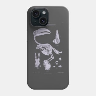 Toucan Bird Skeleton Anatomy Vintage Natural History Phone Case