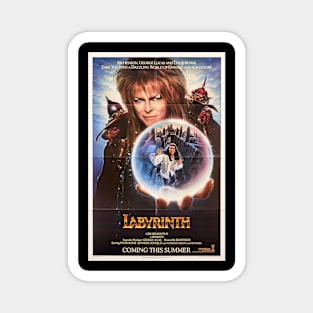 Labyrinth Magnet