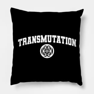 DnD Magic School Transmutation Pillow