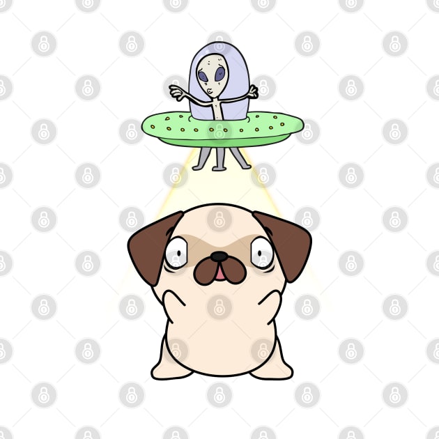 Funny pug is being abducted by aliens by Pet Station