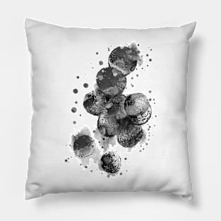 Staphylococcus aureus Pillow