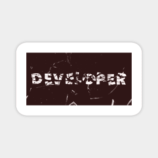 Developer Magnet