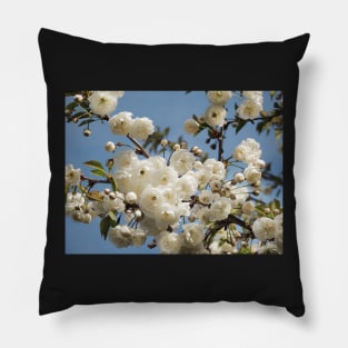 Blossoming Pillow