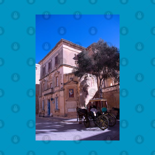 Mdina Main Gate, Malta by Graz-Photos