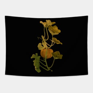 Pumpkin Tapestry