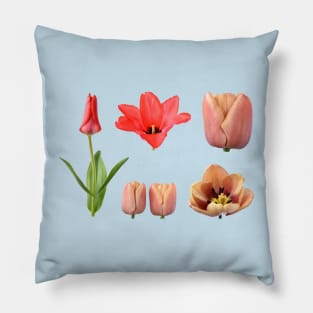 Assorted tulips Pillow