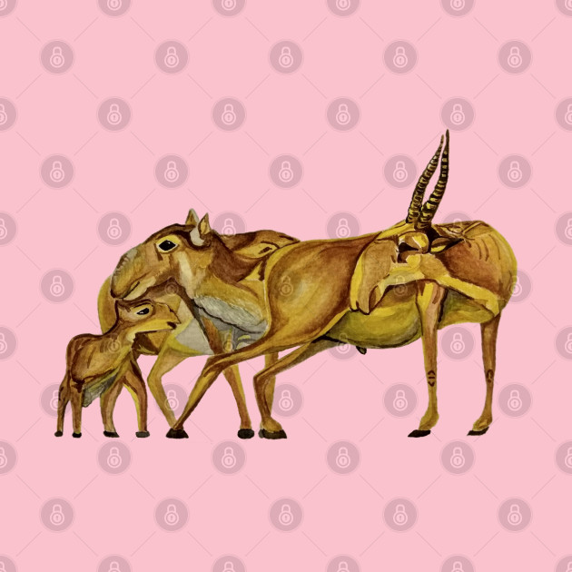 Download The Family of Saiga Antelope (Watercolour) - Animals ...