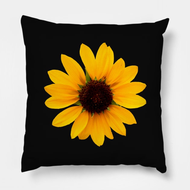 Single Sunflower Pillow by KhanasWeb