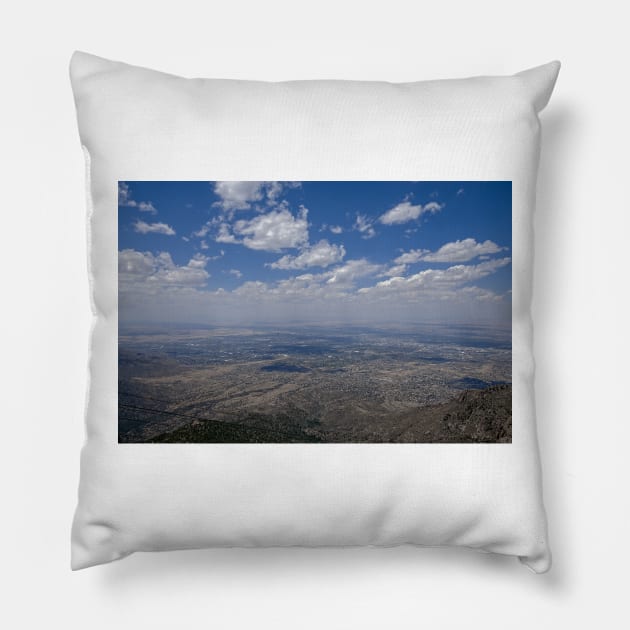 850_8579 Pillow by wgcosby