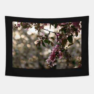 Pink flowers against a bokeh background Tapestry