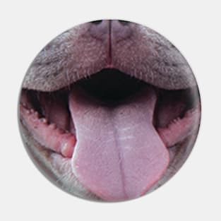 Funny English Bulldog Face Pin