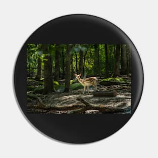 Magical Deer moment Pin