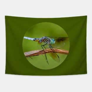 Blue Dasher Dragonfly Photograph Tapestry