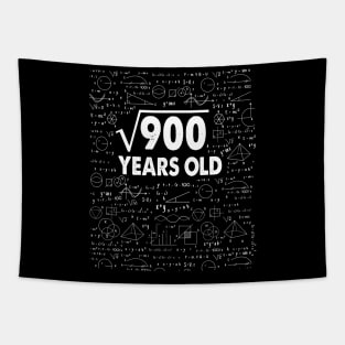 30 years old 30th birthday Gift Square Root of 900 Science Lover Gifts Bday Tapestry