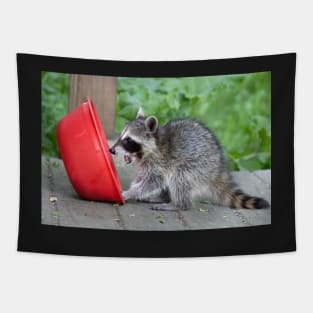 Sweet Baby Raccoon Tapestry